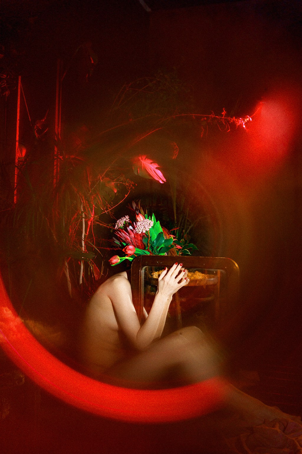 Красная нить. Фотокоуч Катерина Каледина