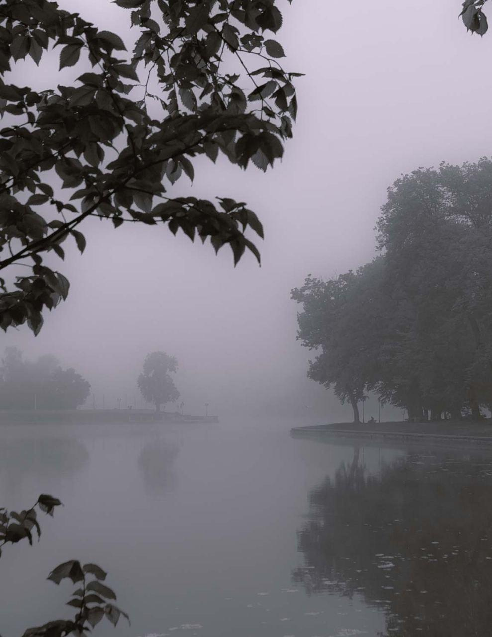 Пейзажи и город