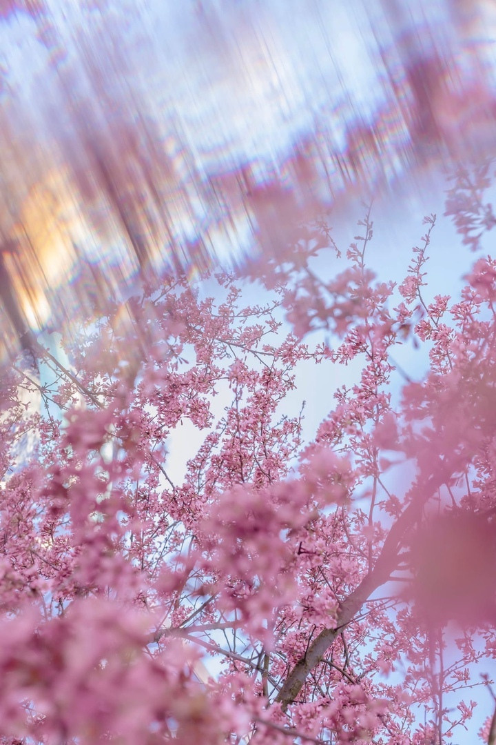 Пейзажи и город