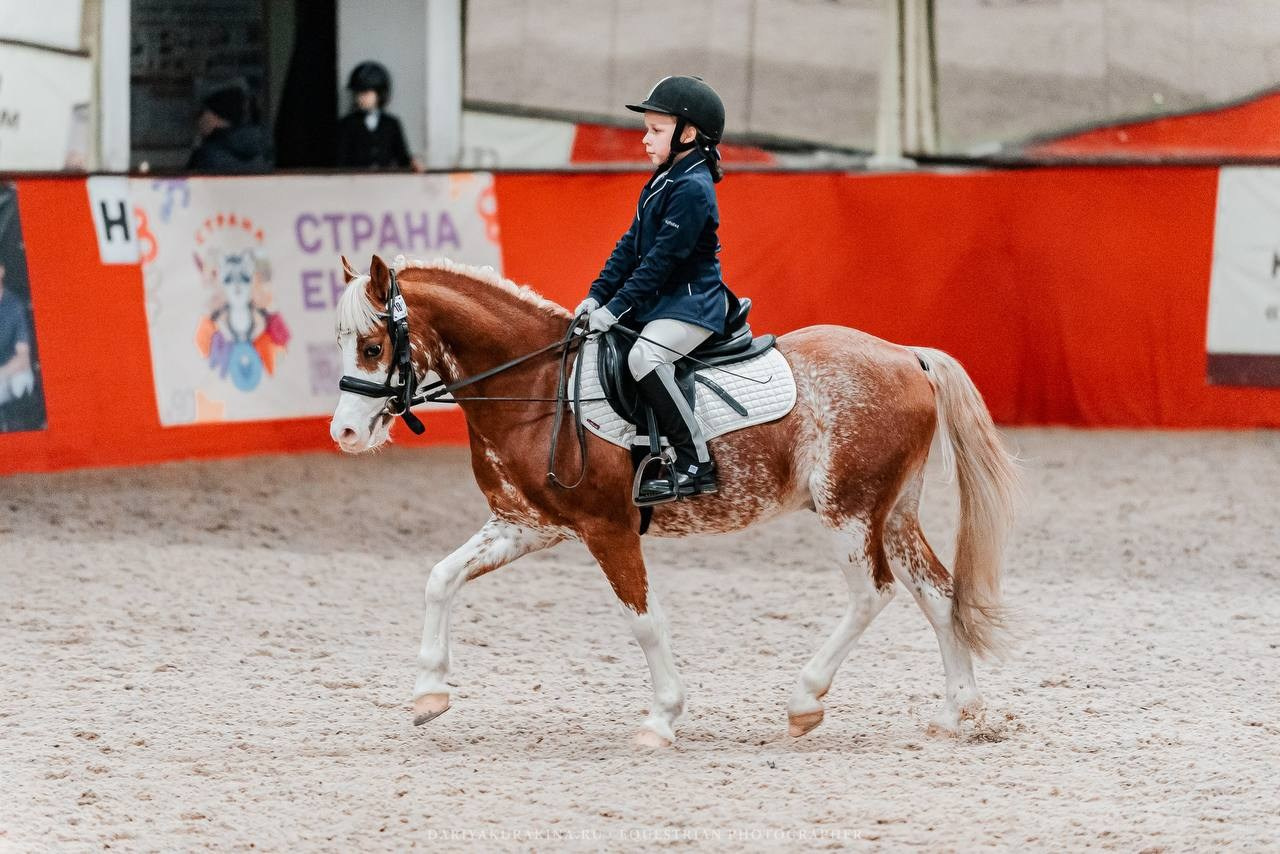 ВЫЕЗДКА в КЦ ИЗМАЙЛОВО, «ГЕОСКАЧКИ». Куракина Дарья • Конный фотограф