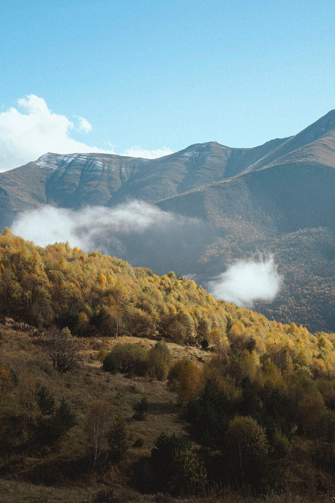 Prints. North Ossetia