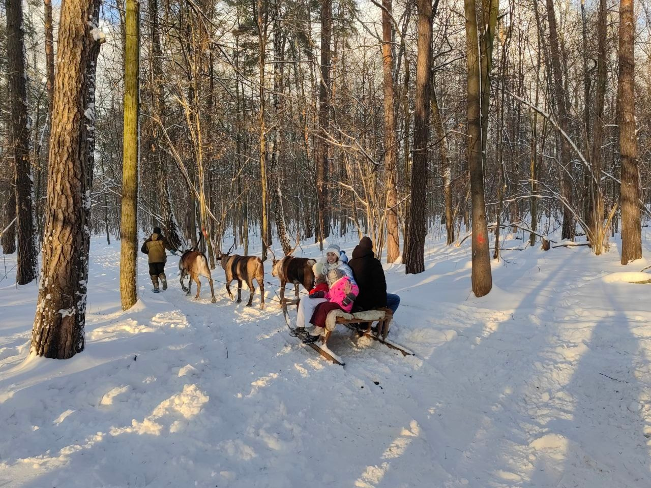 В гости к северным оленям | 02.12.2023. Галерея Фантим
