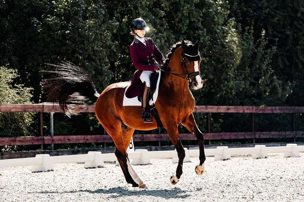 КУБОК ПАМЯТИ ИРИНЫ ЛЬВОВНЫ ЗУЙКОВОЙ ПО ВЫЕЗДКЕ в КСК «БЕЛАЯ ДАЧА». Конный фотограф Куракина Дарья • Фотосессии с лошадьми