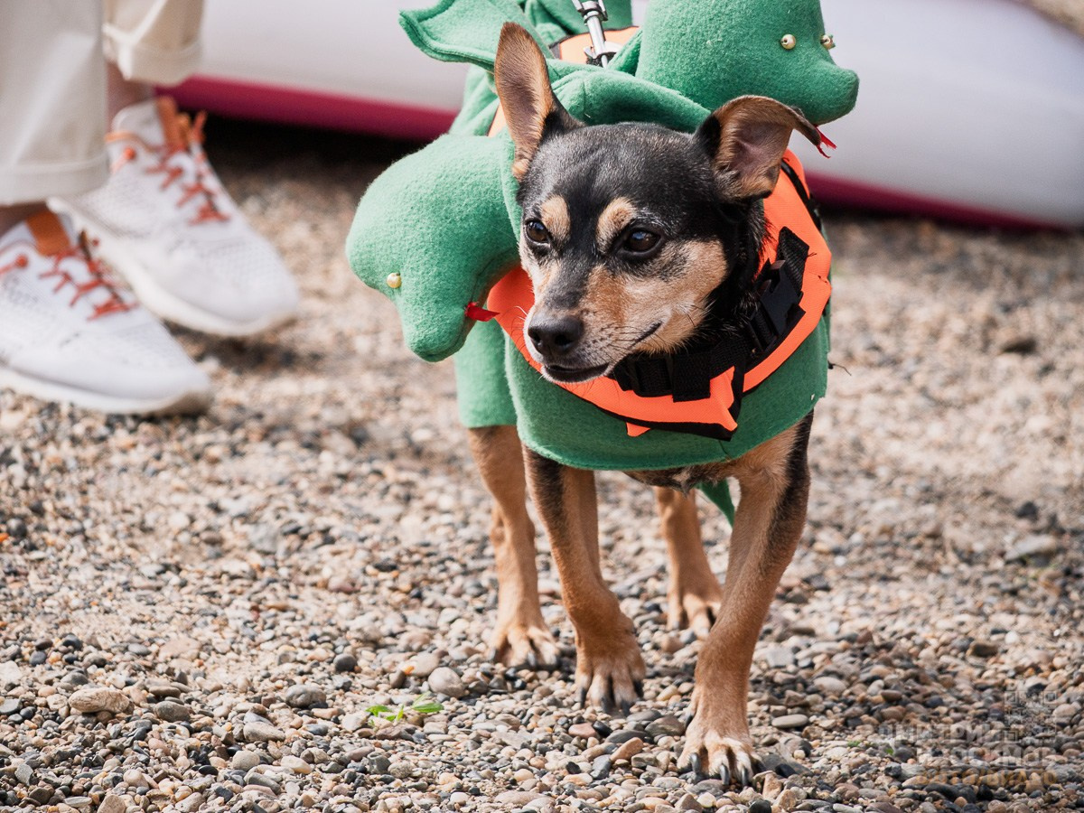 SUP-фестиваль на Туре