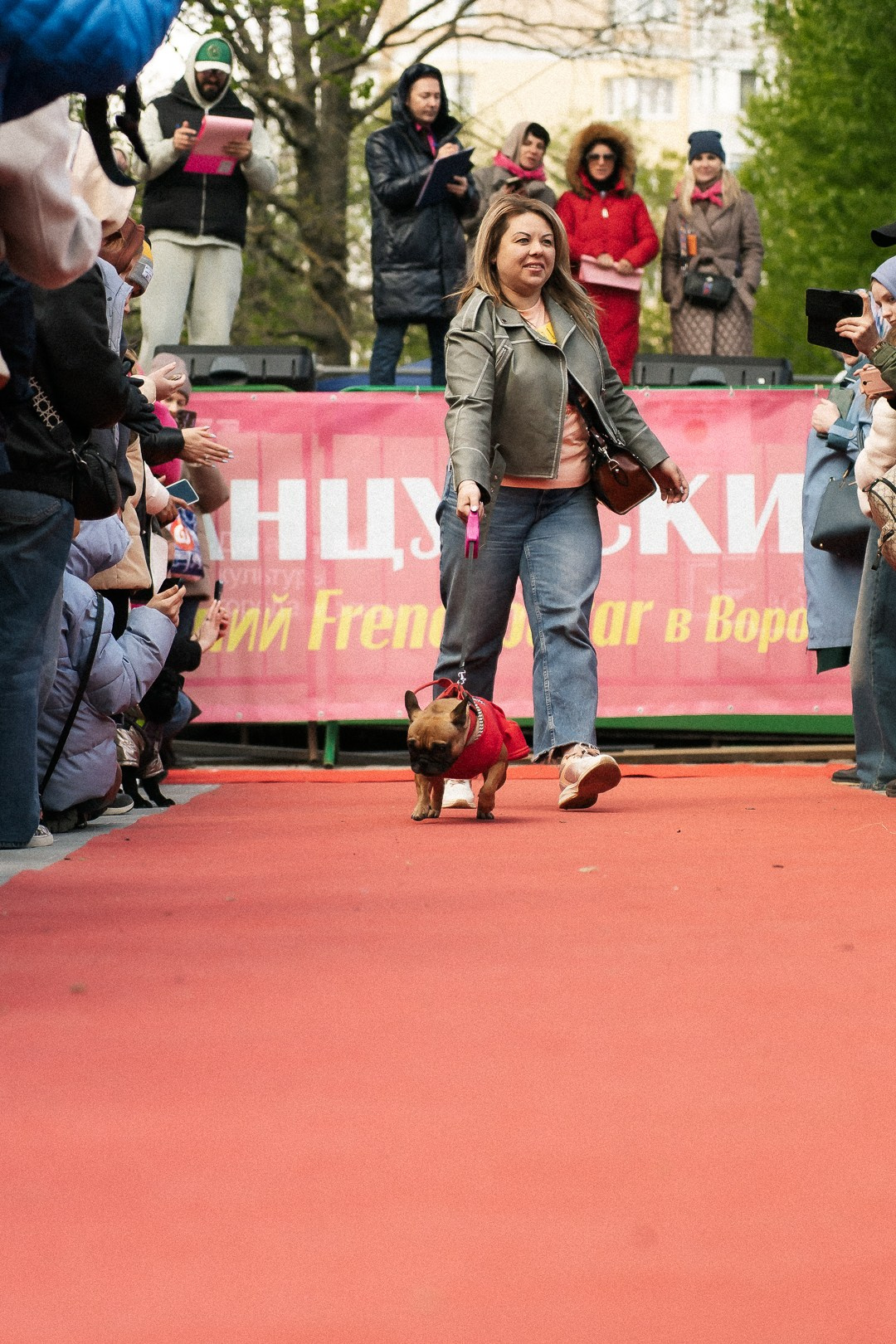 Парад Бульдогов. Axenov_eugene