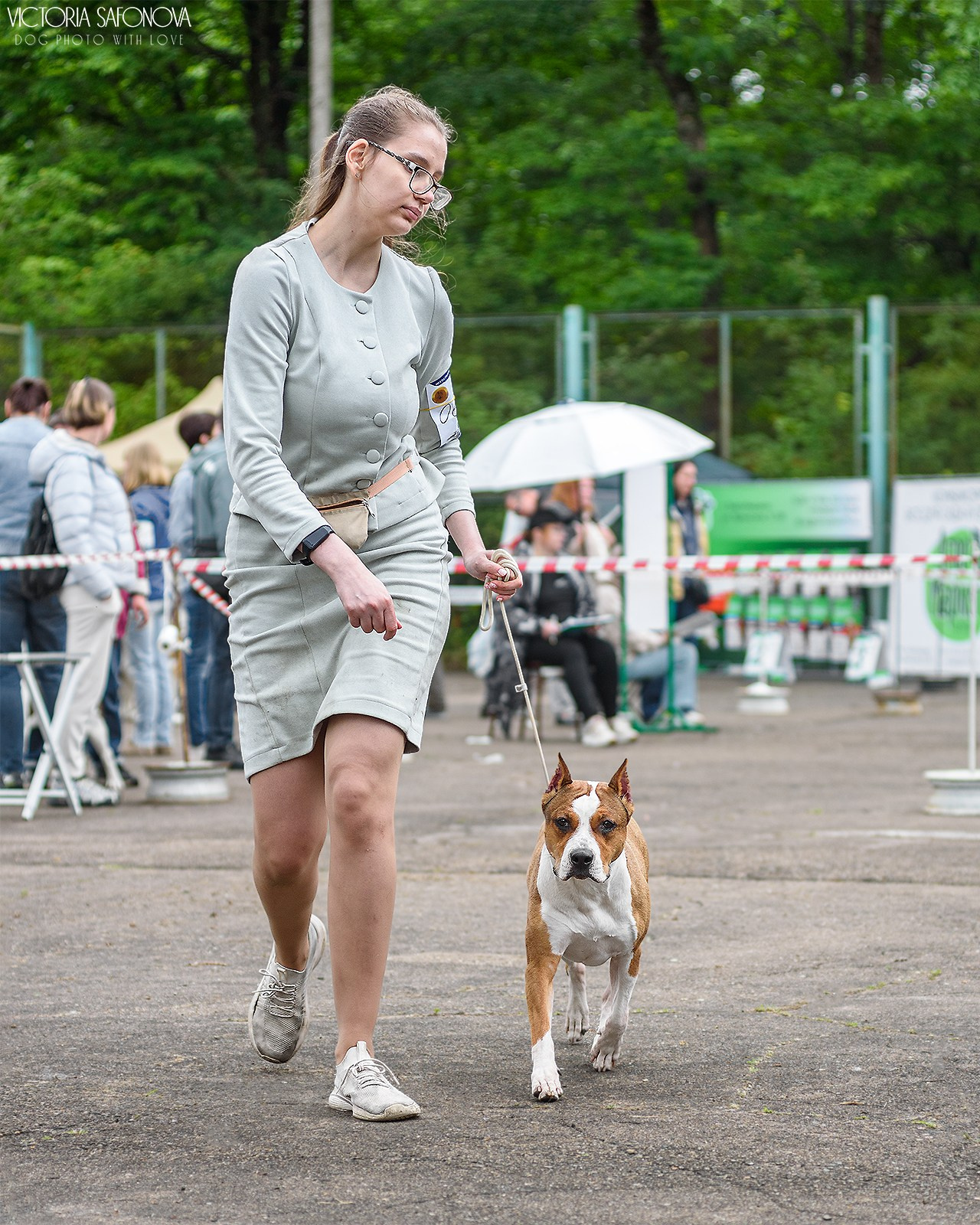 15 июня 2024 Биробиджан. Фотограф анималист Благовещенск. Сафонова Виктория