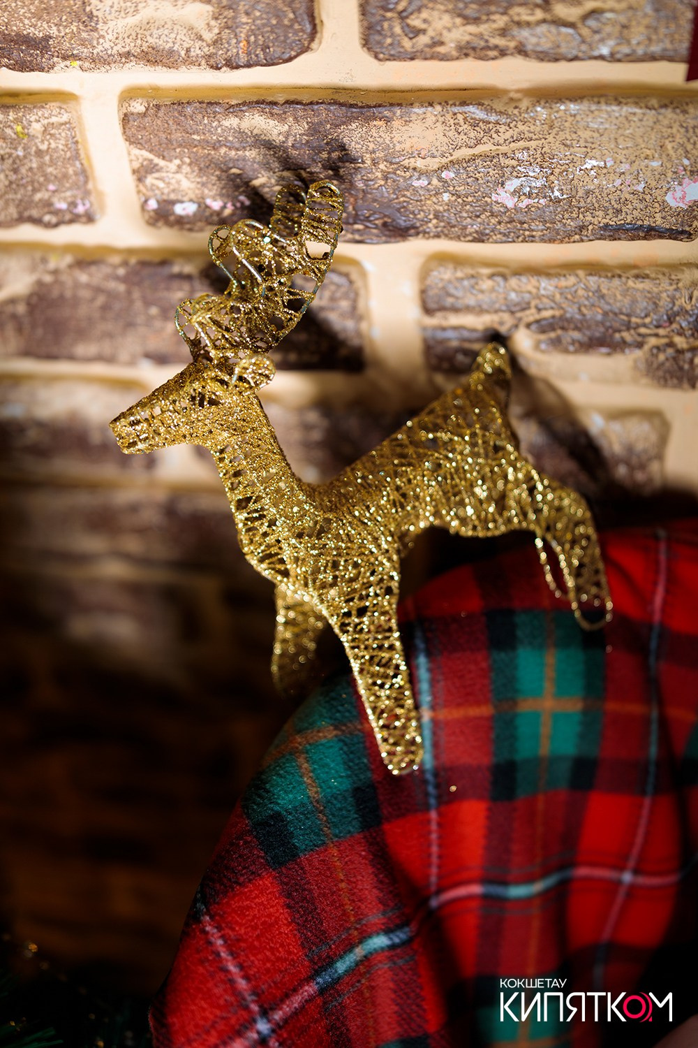 GENTLEMAN PUB. КИПЯТКОМ КОКШЕТАУ