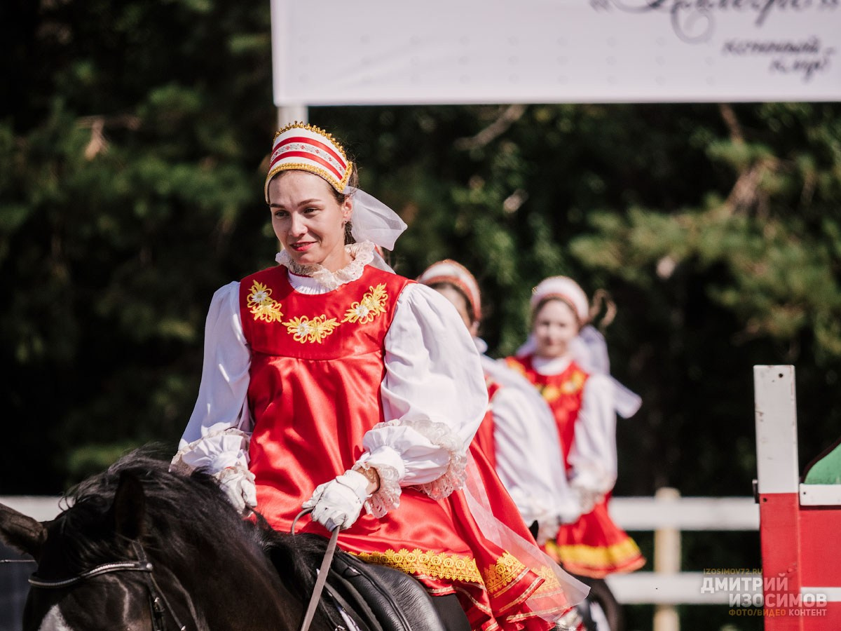 Скачки фаворитов 2024