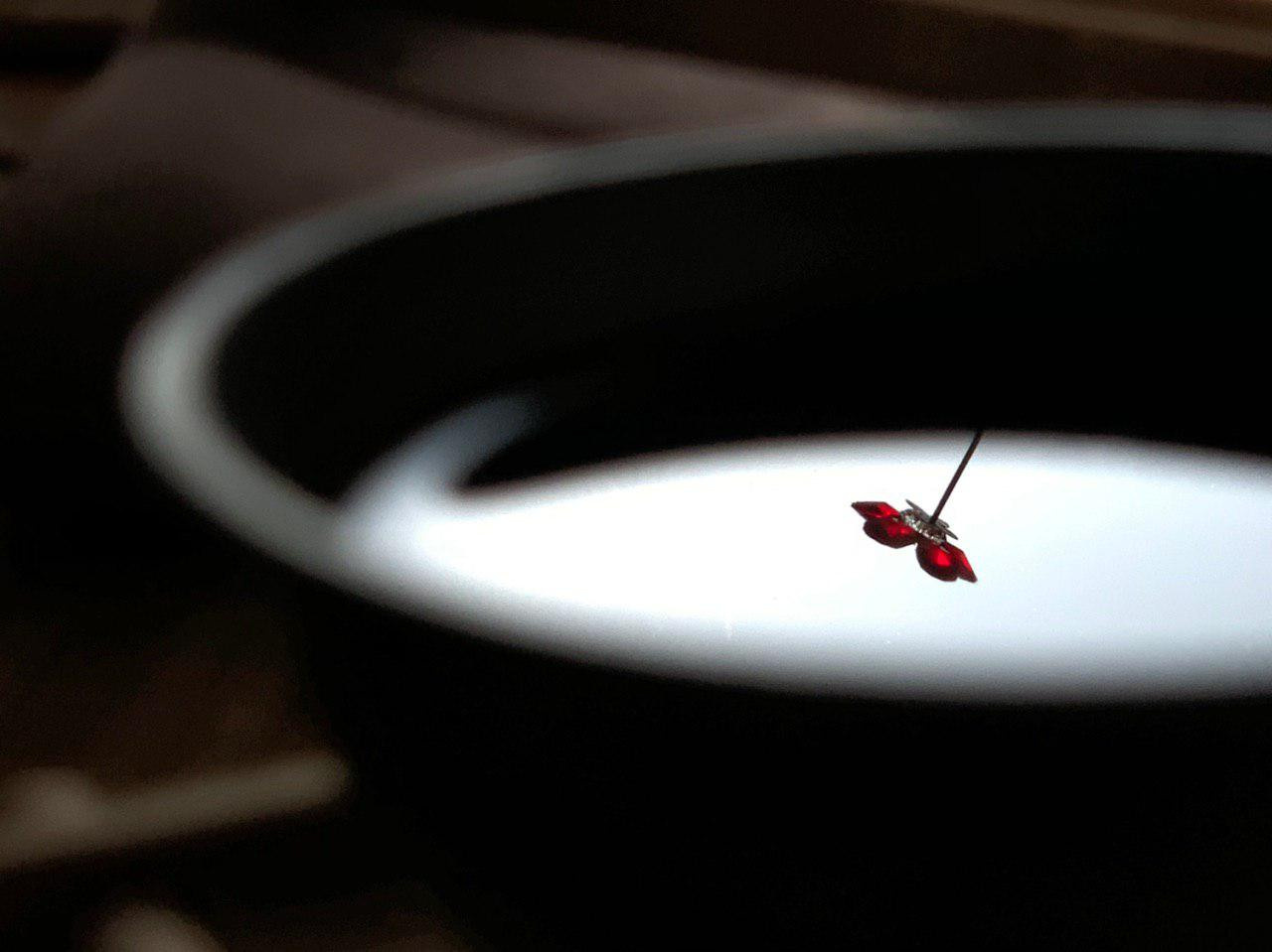 Разное. Фотограф Павел Шальнев