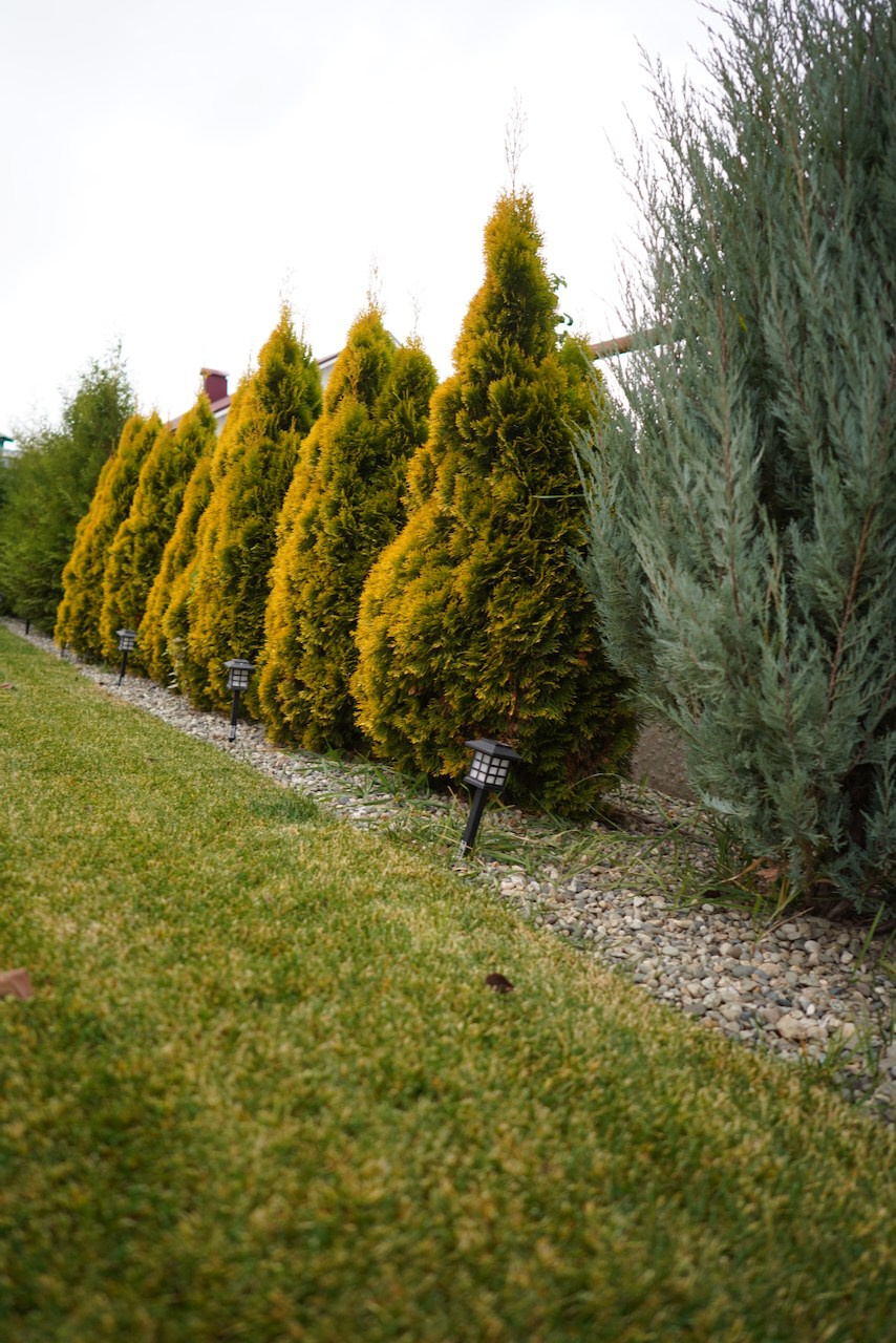 Одноэтажный дом в Энгельсе. Das House