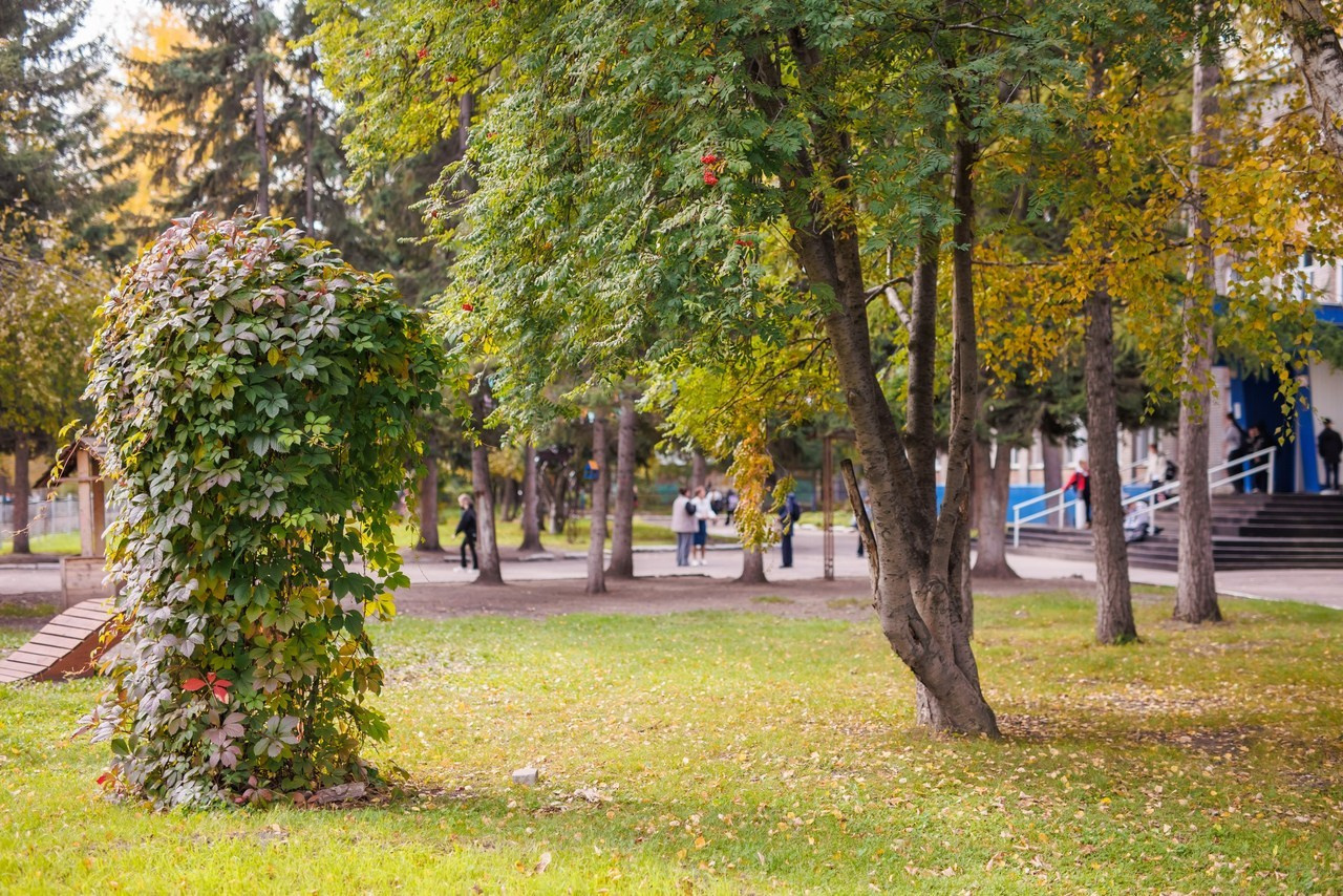 Отзывы. Детский фотограф в Барнауле Ирина Шевчук