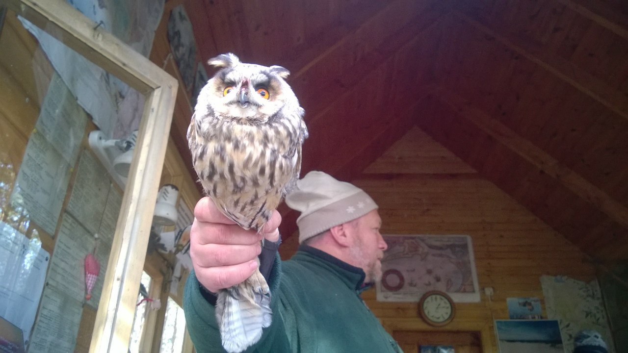 Калининград | 24-26.10.2014. Галерея Фантим