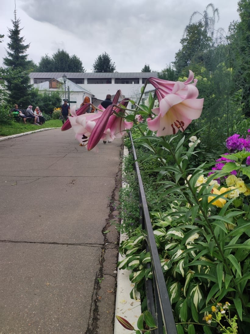 Звенигород | 29.06.2023. Галерея Фантим