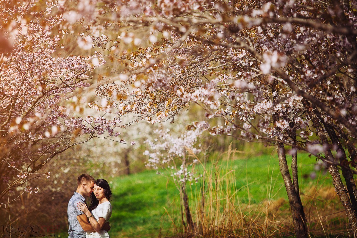 КОГДА ЯБЛОНИ ЦВЕТУТ)