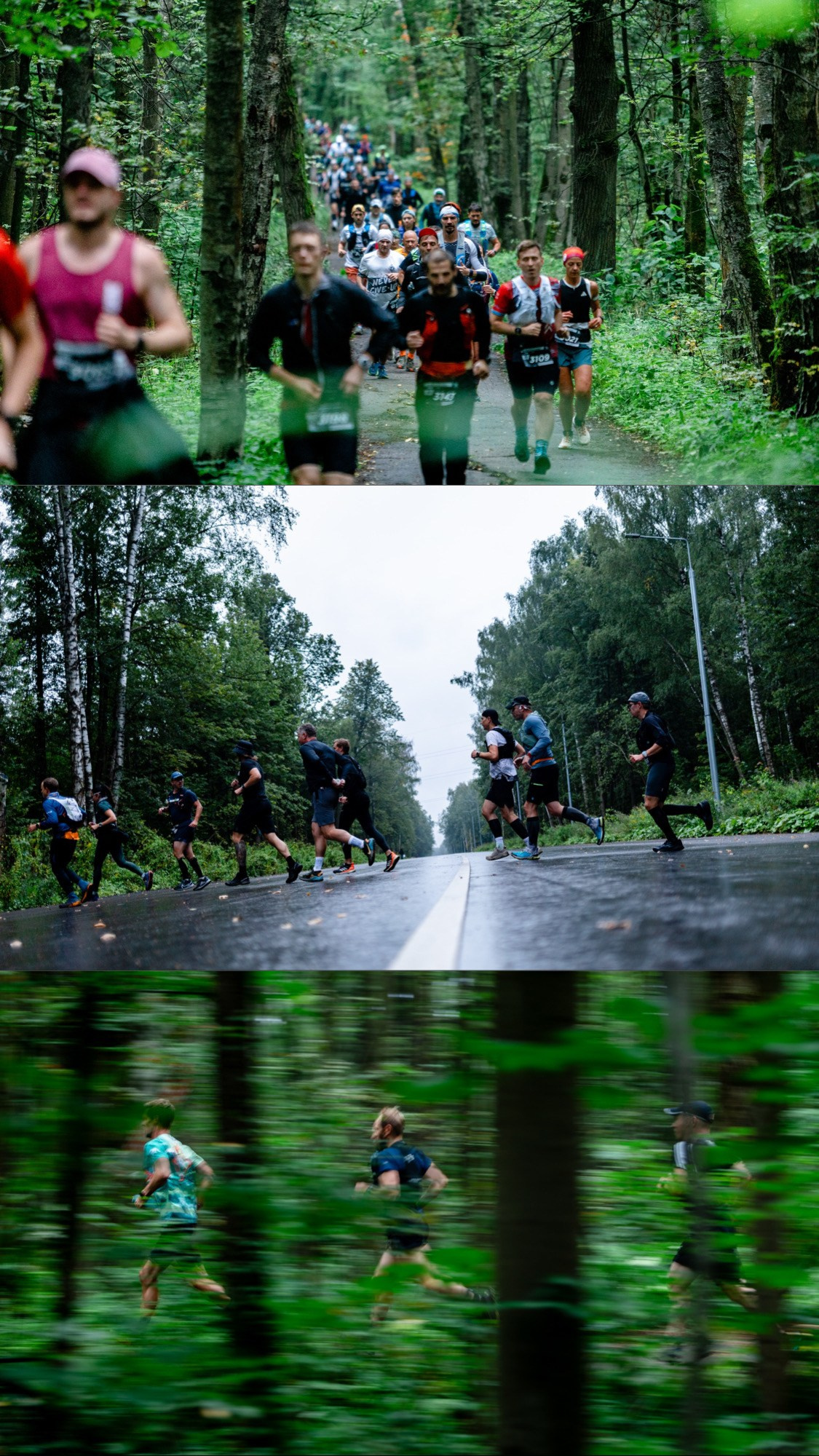 City Trail Losiny Ostrov. Павел Шарапов | Фотограф | Москва