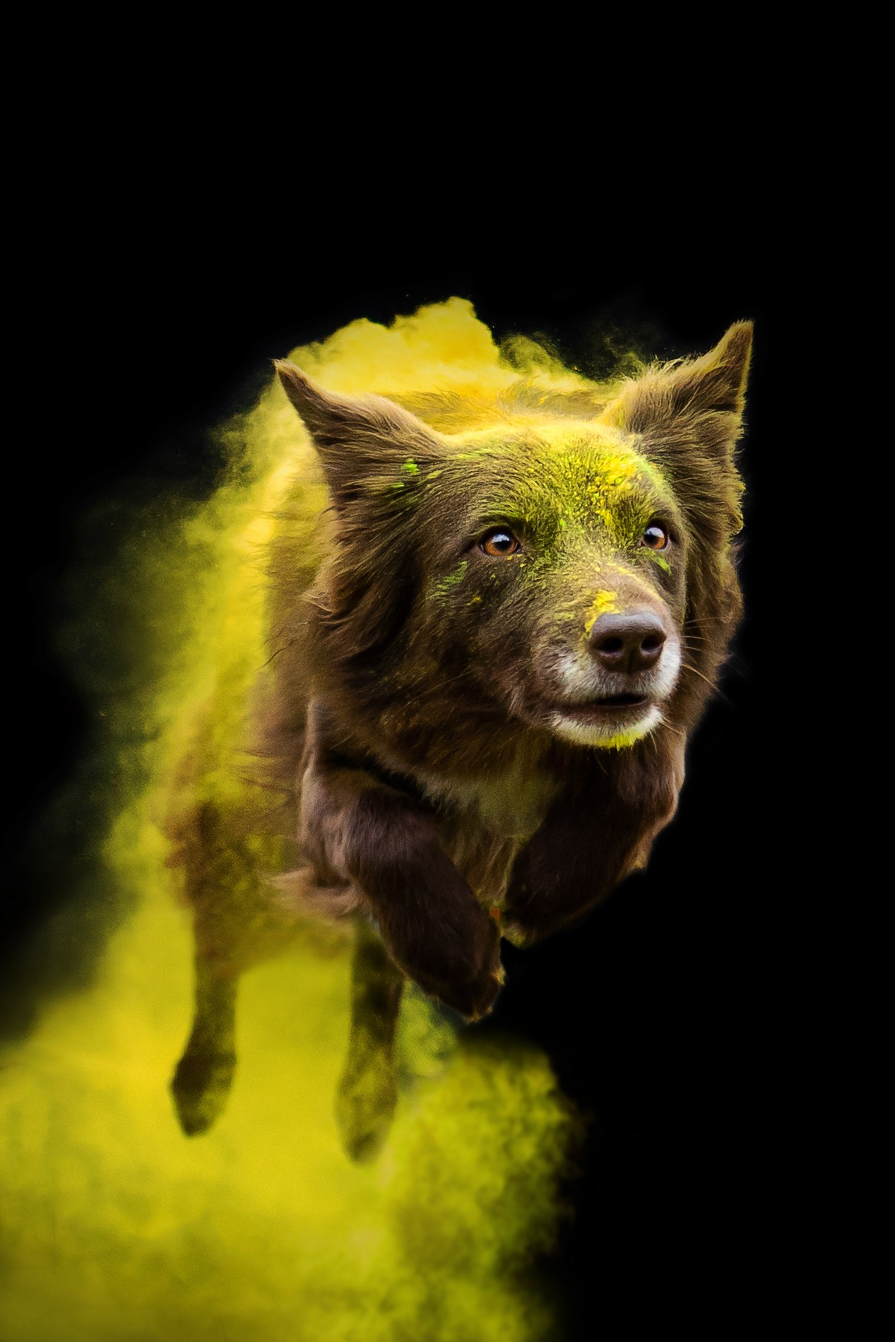 Пиксель и Зола