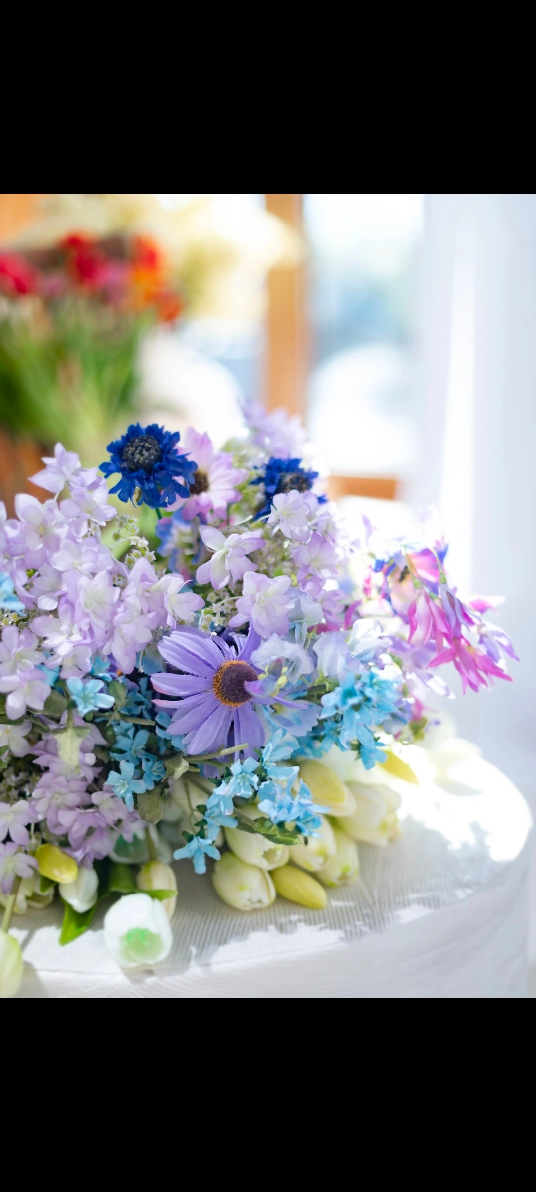 Все фотостудии в Твери. Свадебный и семейный фотограф в Твери и Тверской области