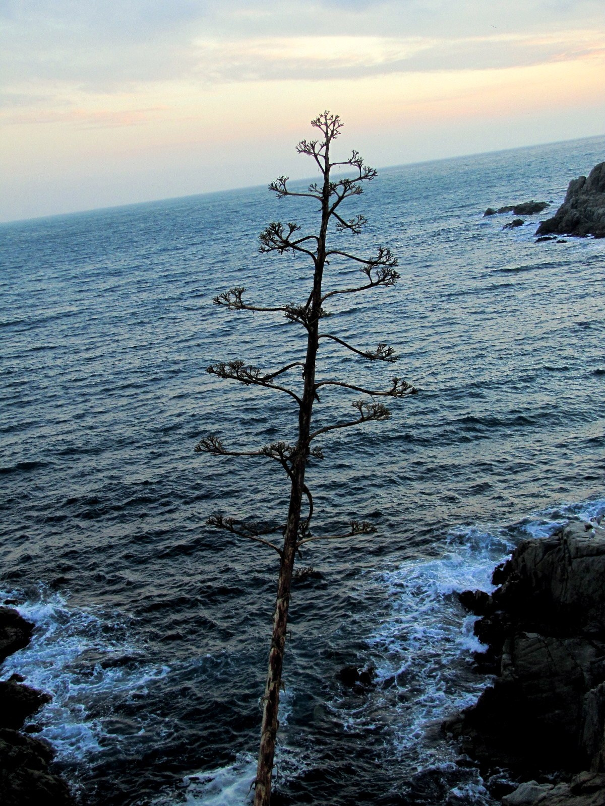 Каталония: Льорет-де-Мар и Барселона. Дарья Письменюк / Darya Leitstern — фотограф, музыкант, журналист, путешественник