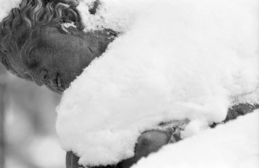 Those. Елена Цихон художник фотографии и мастер фото-ДНК