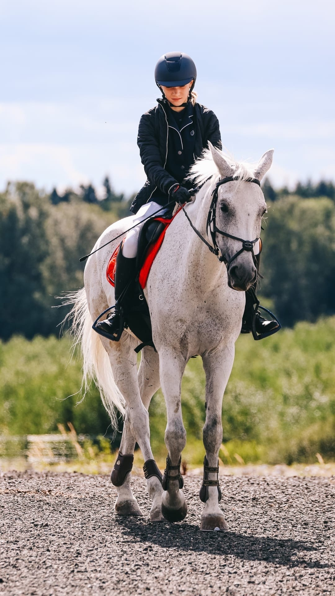 Летние соревнования. Фотосессии с лошадьми