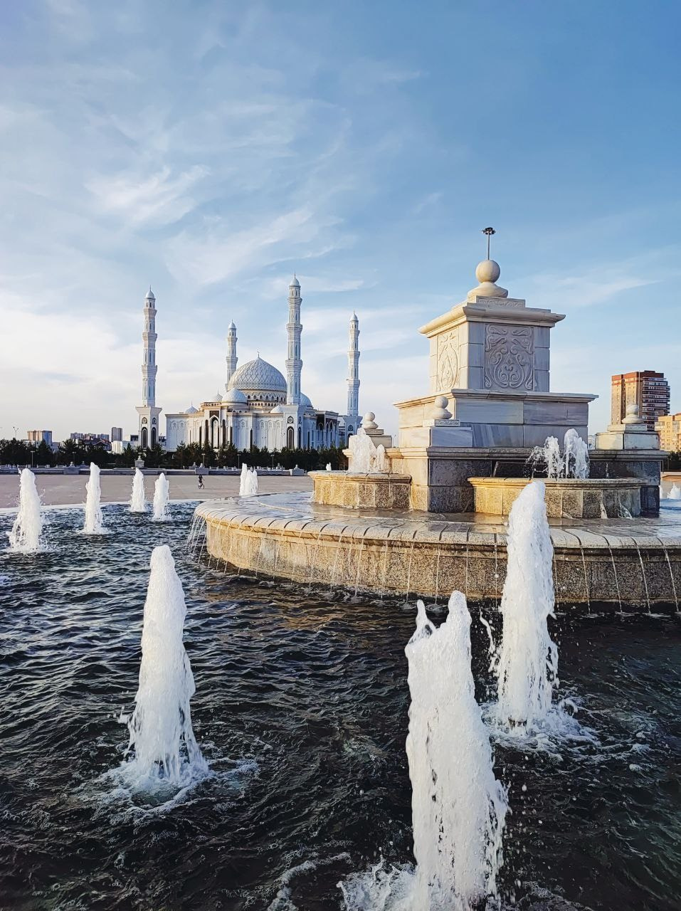 Намобилкус казахский. Репортажный фотограф Алексей Пирязев
