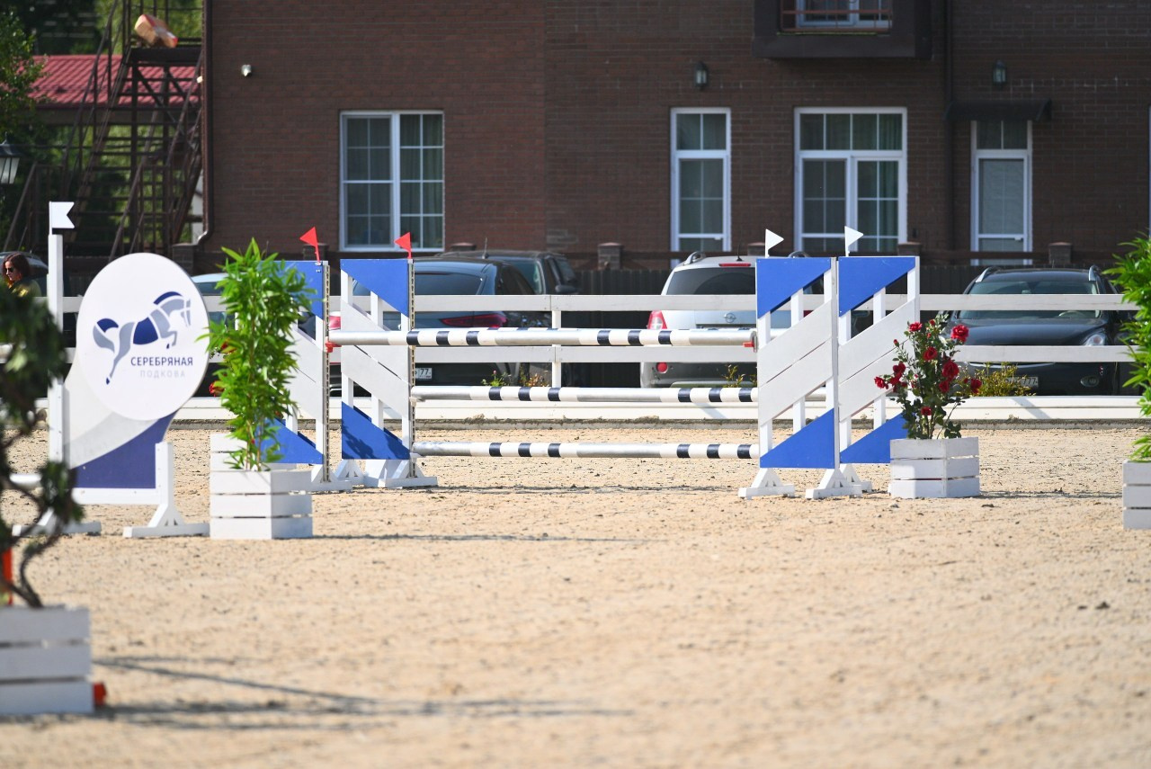 Отзывы. ТУРНИРНАЯ КОННАЯ ФОТОГРАФИЯ, Руднева Ольга и Евгений Адеев
