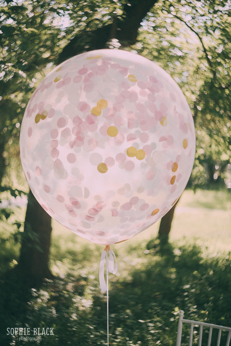 Лисята Юлия и Алексей. Соня Черных (sophieblack)