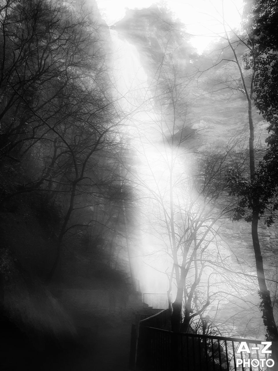 #ФОТОНЕДЕЛИ 12.01.2026. Женский семейный фотограф Тула Москва Захарова Анна