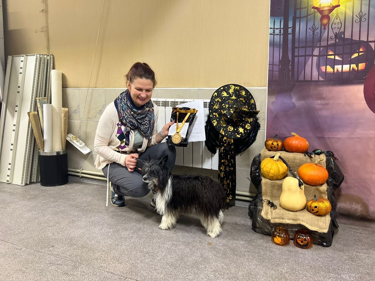 Рейко сынок Честера. Питомник китайских хохлатых собак Poale Ell: купить щенка в питомнике