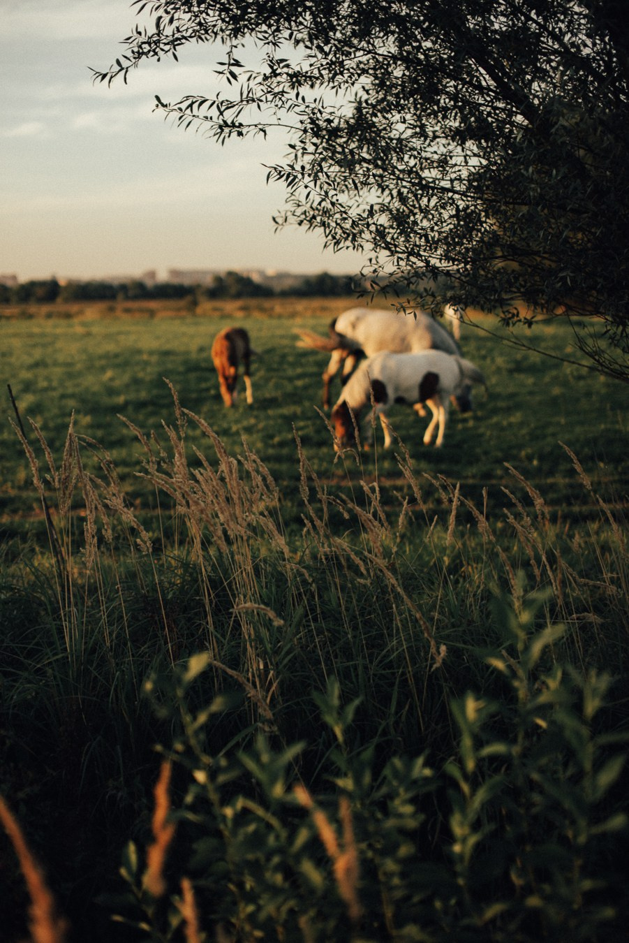 Саша, Настя, Арсений | на природе