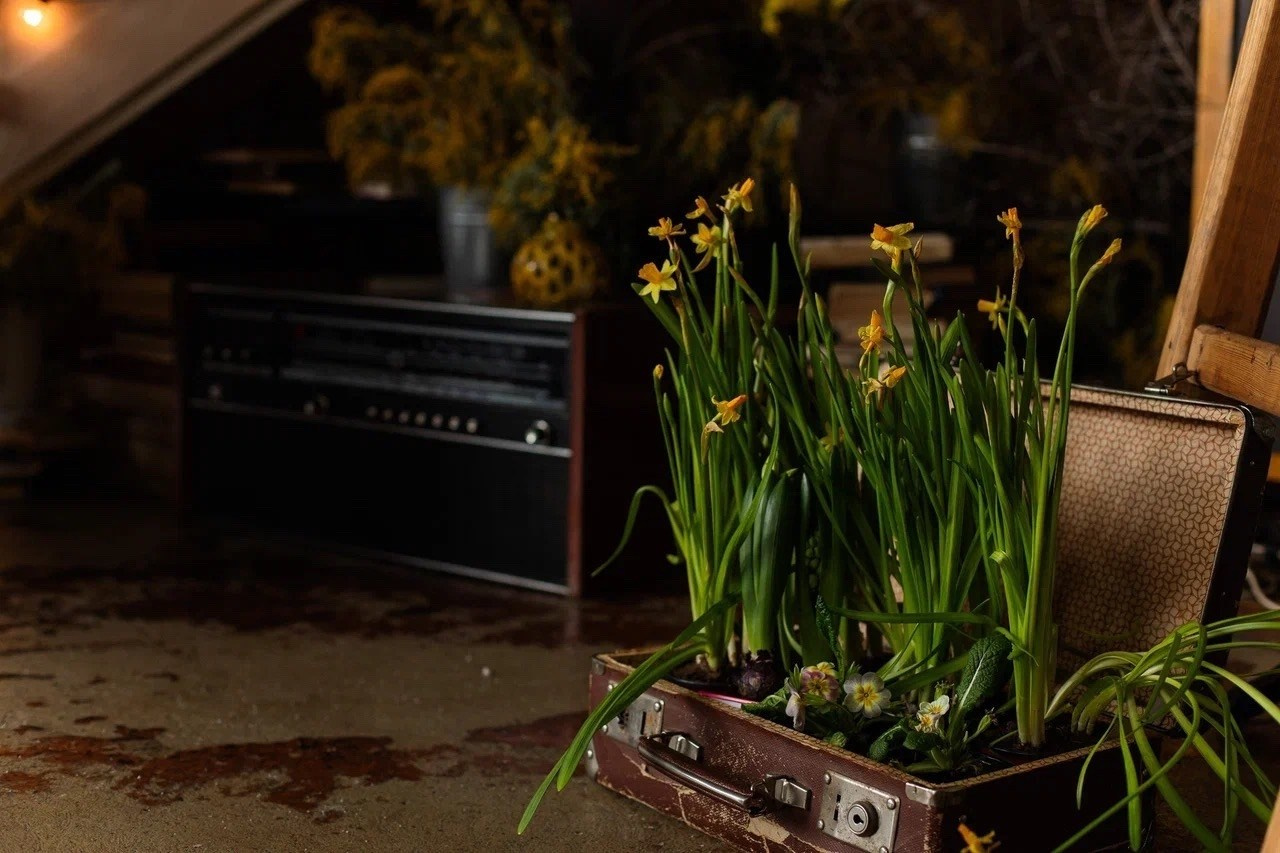 Зал Мастерская