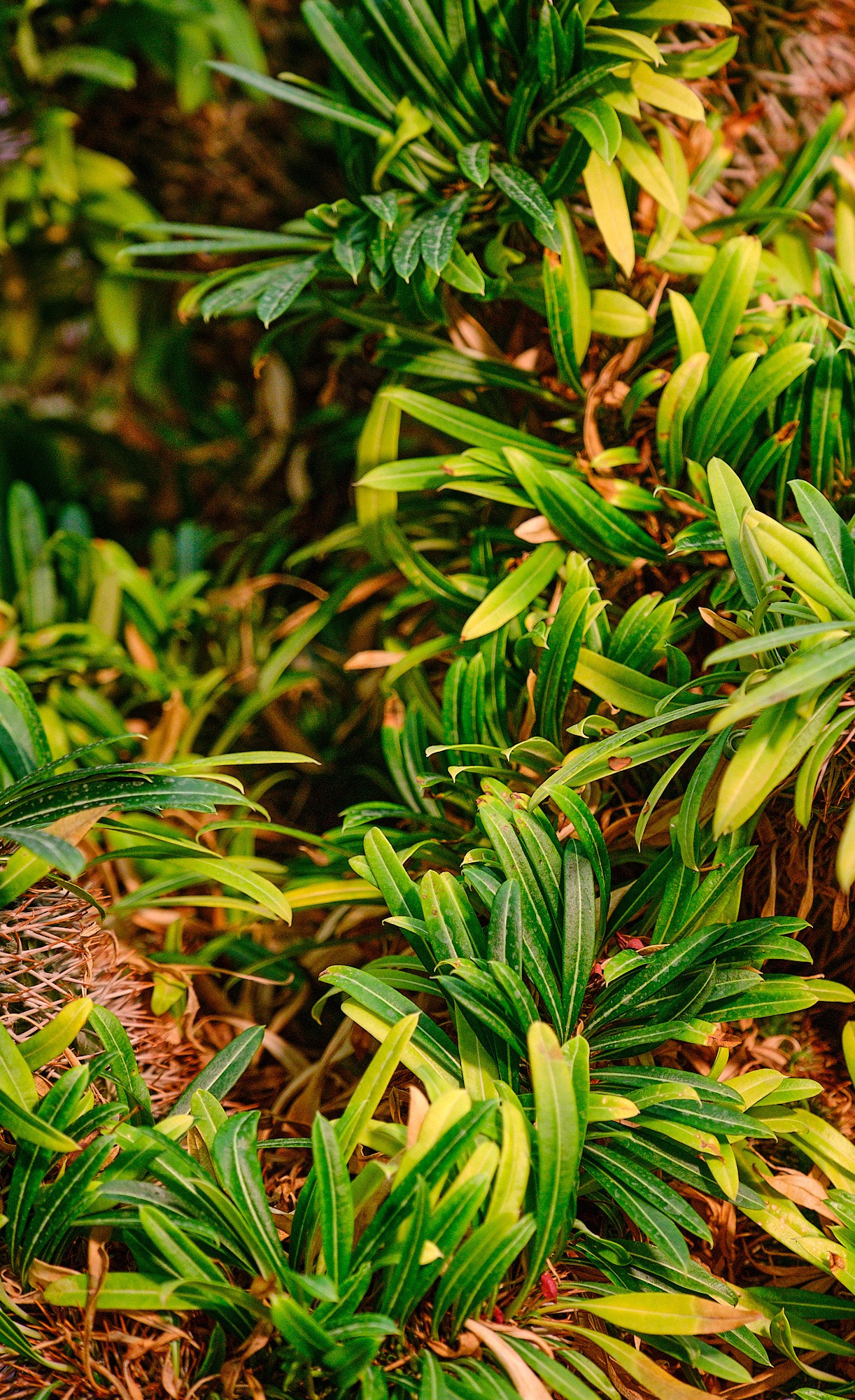 Фотоальбом с разными съёмками