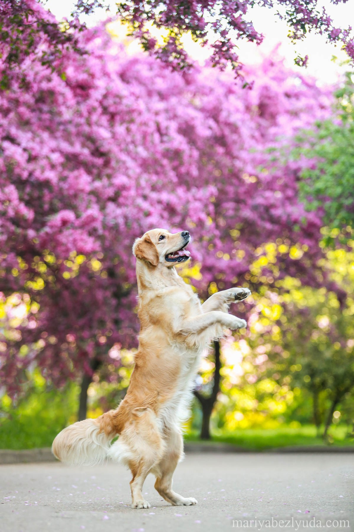 На природе. Семейный и детский фотограф в Москве Мария Быкова