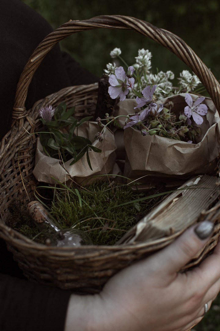 Фотосессия в лесу. Фотограф в Красноярске / Дивногорске. Файзулина Анастасия