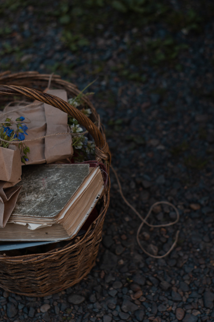 Фотосессия в лесу. Фотограф в Красноярске / Дивногорске. Файзулина Анастасия