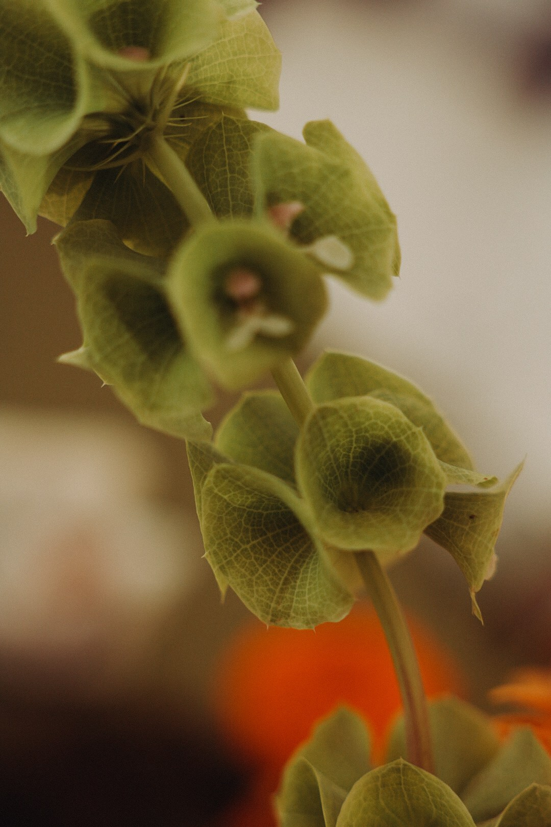 Коля и Наташа. Фотограф Нижний Новгород