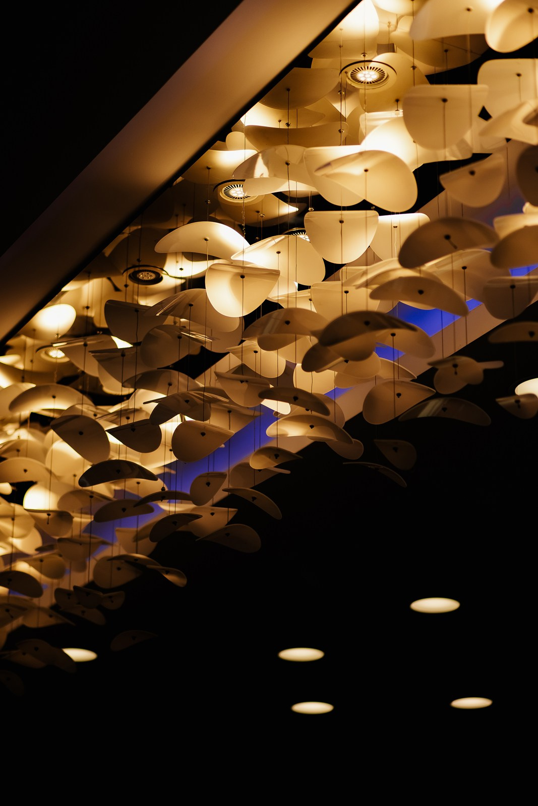 ATLANTS FAMILY DAY. Фотограф Москва Владимир Филин