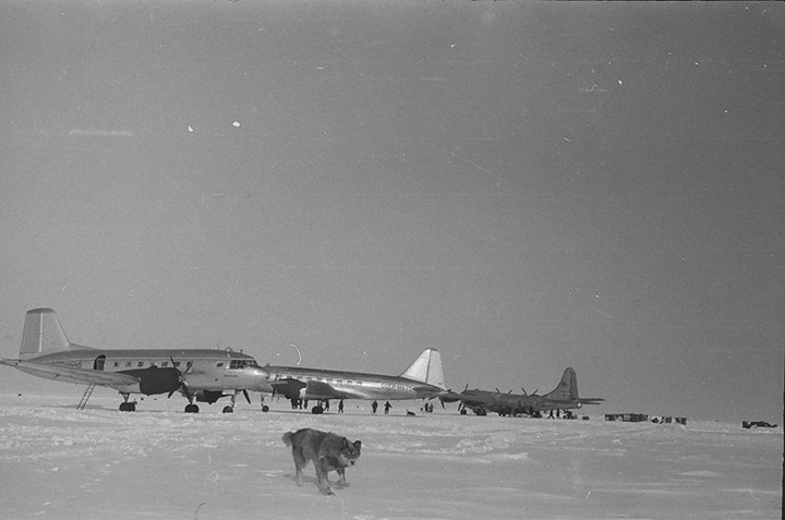 Исторические фотографии. Фотоальбом показывающий увлекательный мир авиации и мир медведей Андрея Иванова