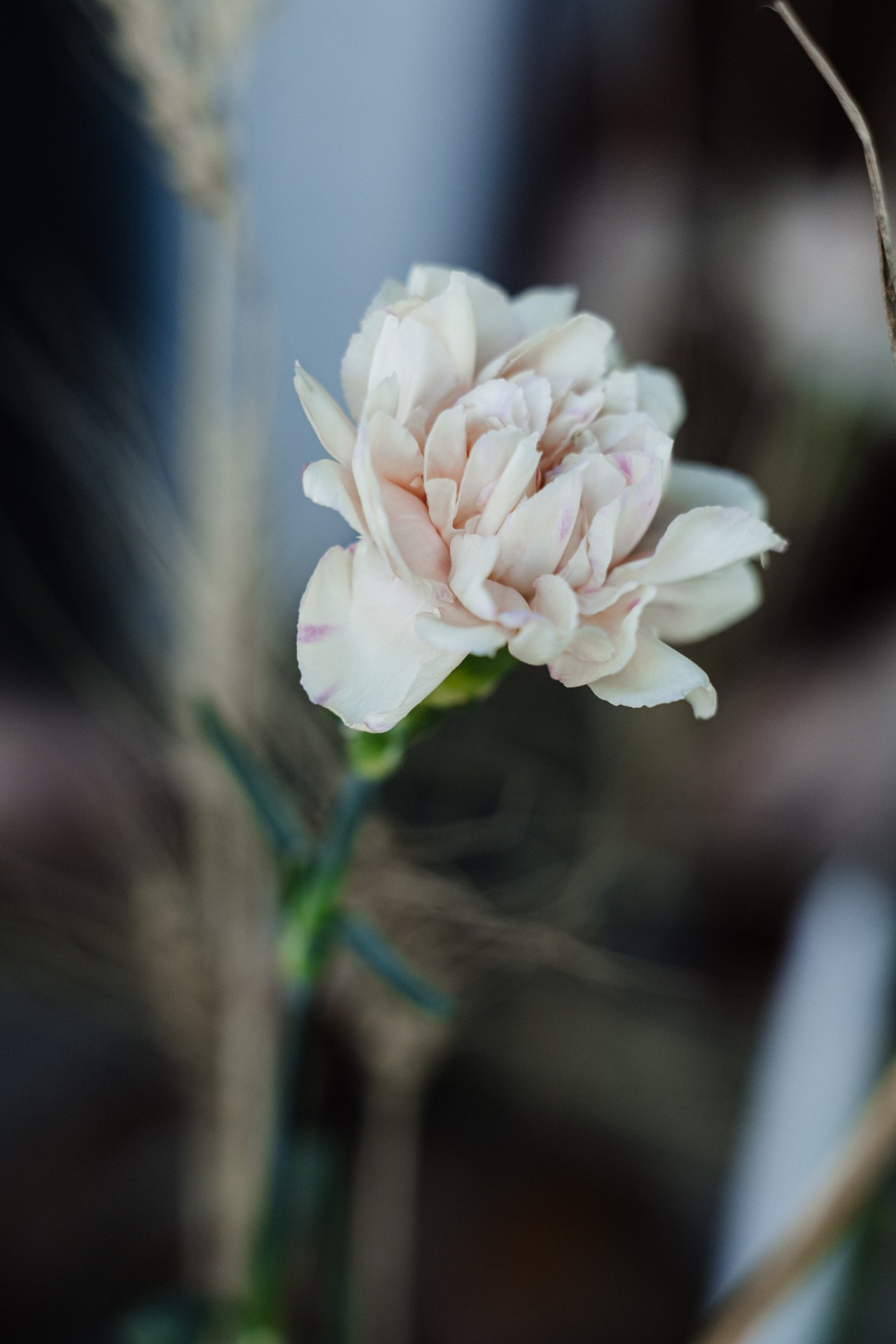 Цветочный бранч. VICTORIA SHU