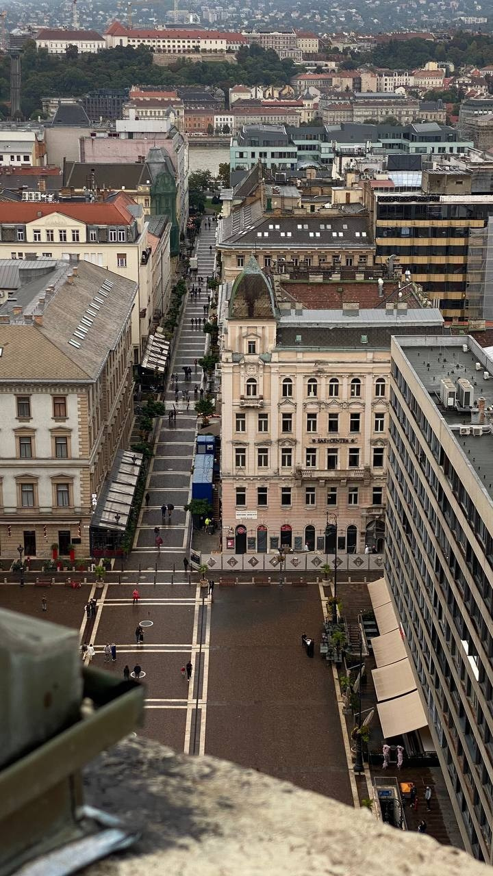 Распродажа курса: «Мобильная фотография». Алла Шевченко — продюсер — наставник