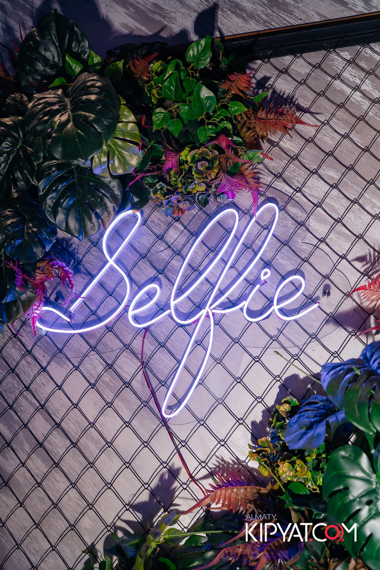 ДОРОГАЯ, Я НЕ ПИЛ. КИПЯТКОМ АЛМАТЫ!