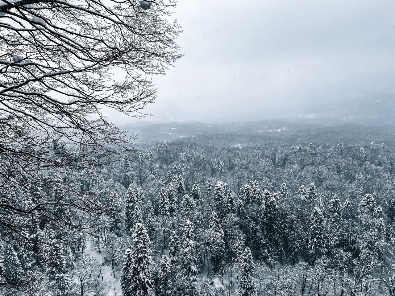 Адыгея. Александра Мельниченко/ Бегающий фотограф