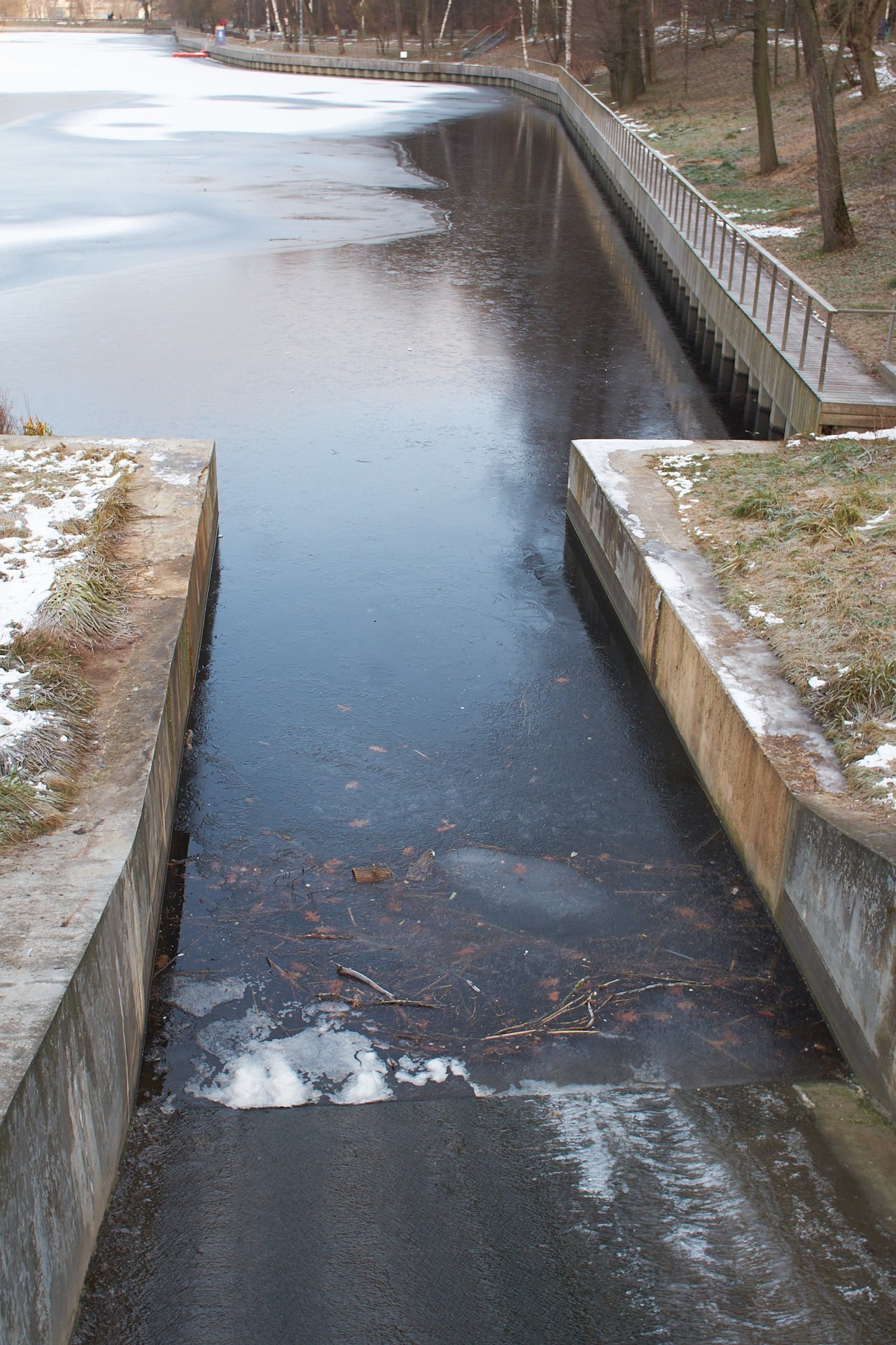 Серия «5 элементов  стихий» — ВОДА, ДЕРЕВО и ЗЕМЛЯ. Сайт фотографа Виталия Дени