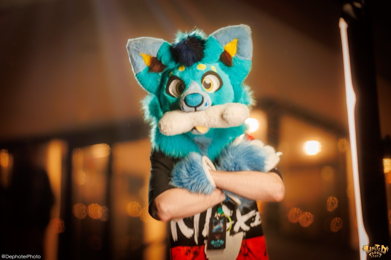United Furry Convention 2026. Различные мероприятия и просто фотографии людей