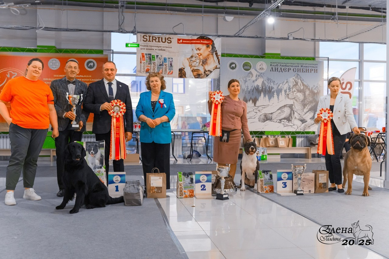 Отзывы. Фотограф анималист Елена Галдина г. Красноярск