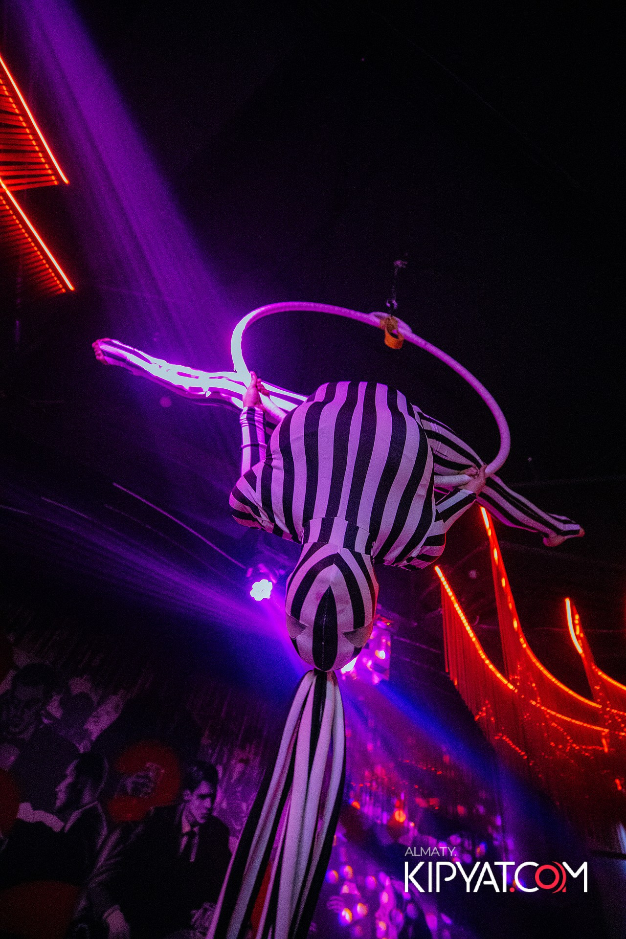 FRIENDS BAR & TERRACE. КИПЯТКОМ АЛМАТЫ! Фотосъемка мероприятий в Алматы