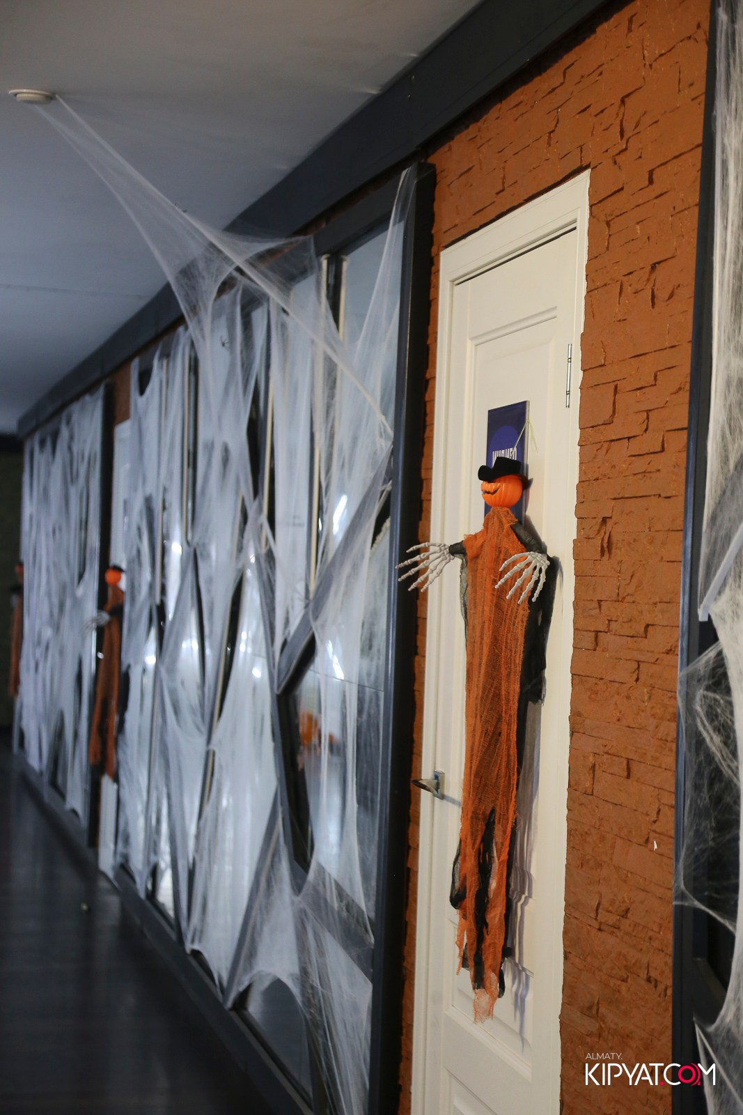 УХО И МЕДВЕДЬ НА САИНА. КИПЯТКОМ АЛМАТЫ!