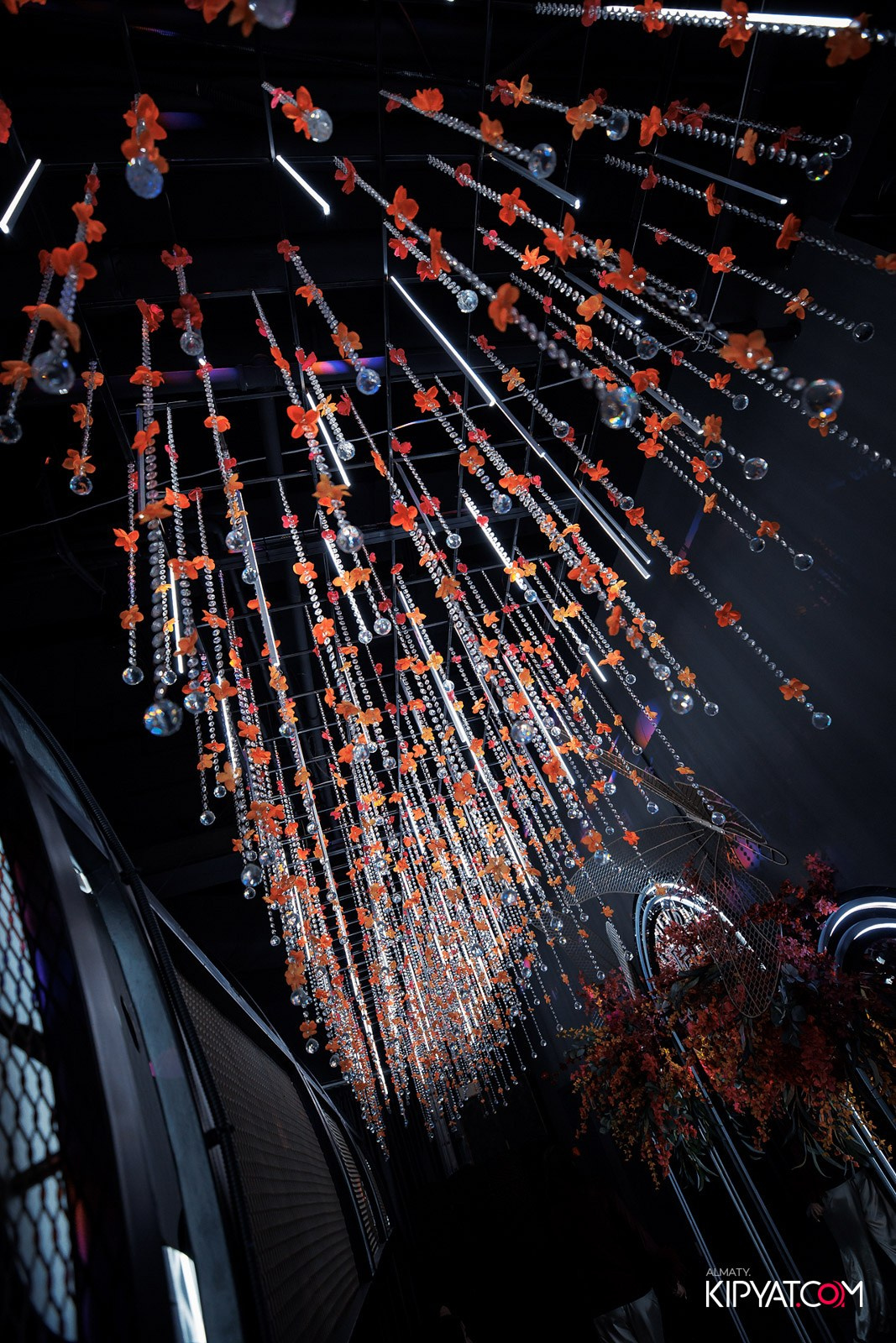 FRIENDS BAR & TERRACE. КИПЯТКОМ АЛМАТЫ!