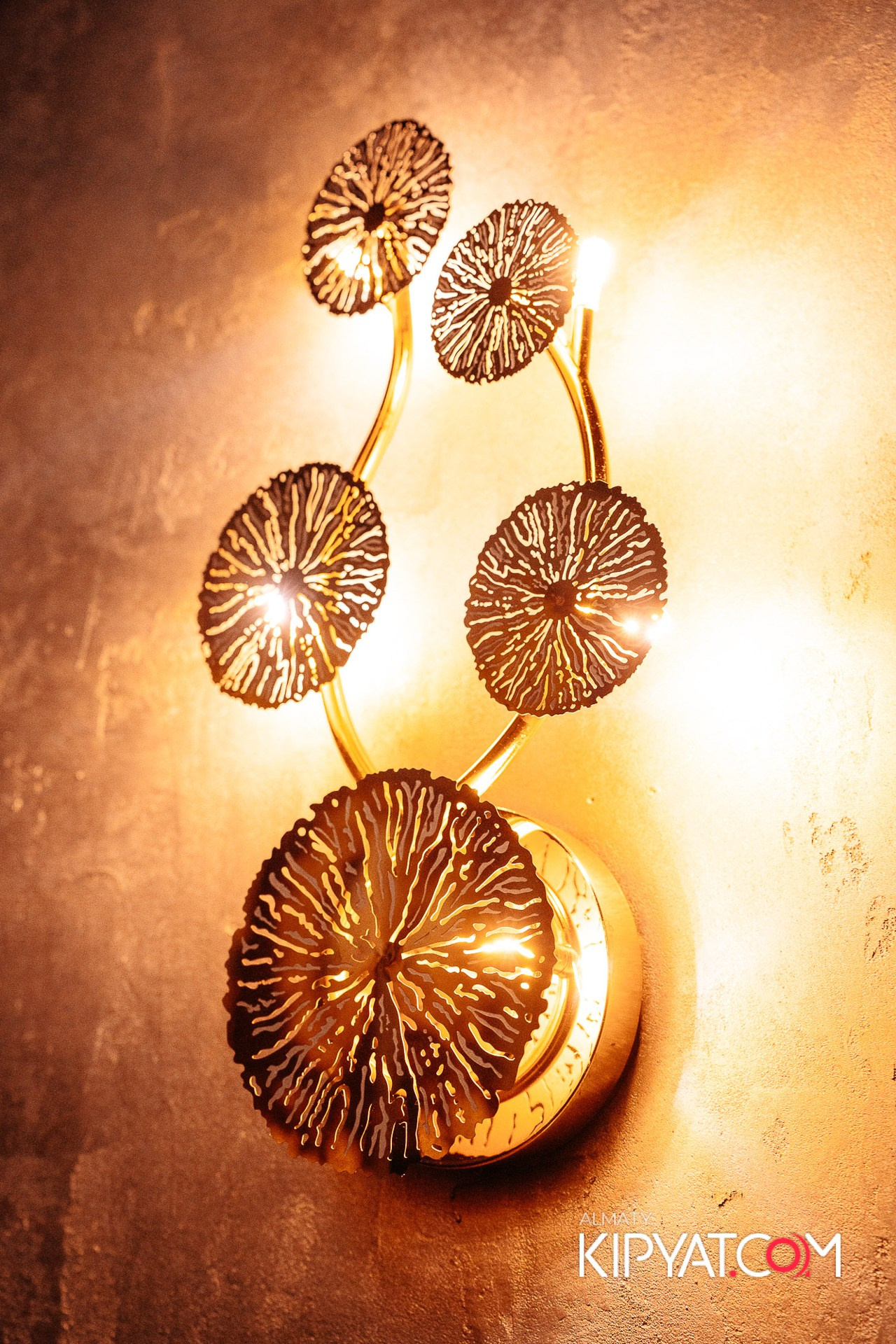 ДОРОГАЯ, Я НЕ ПИЛ. КИПЯТКОМ АЛМАТЫ!