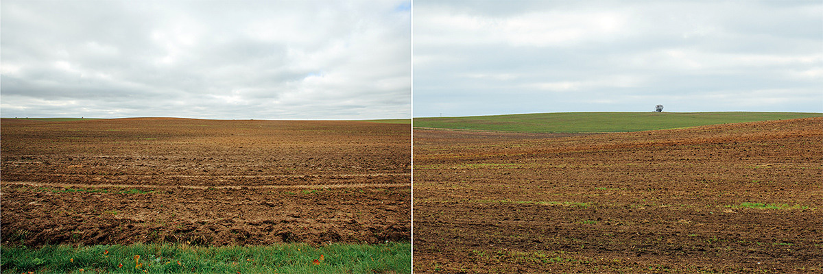 Seasons. Оператор Аркадий Соболев